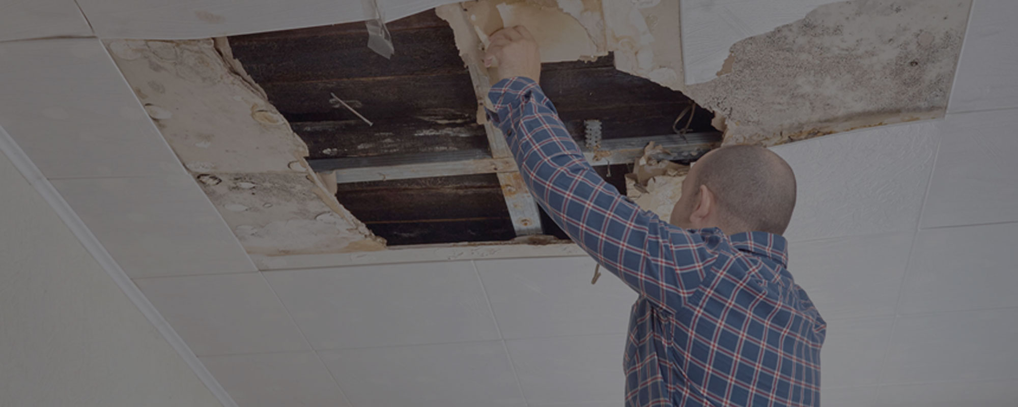 Public Adjuster for Residential & Home Water Damage in Public Adjuster for Residential & Home Water Damage in